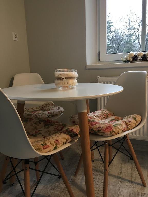 شقة Apartament Halina Lądek-Zdrój المظهر الخارجي الصورة